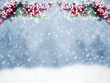 Kış Noel arkaplanı köknar dalları koniler ve kar çelengi ışıkları