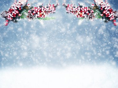 Kış Noel arkaplanı köknar dalları koniler ve kar çelengi ışıkları