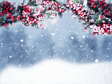 Kış Noel arkaplanı köknar dalları koniler ve kar çelengi ışıkları