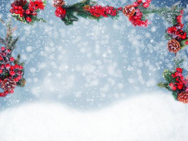 Kış Noel arkaplanı köknar dalları koniler ve kar çelengi ışıkları