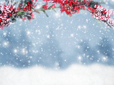 Kış Noel arkaplanı köknar dalları koniler ve kar çelengi ışıkları