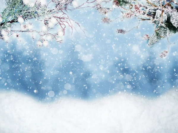 Invierno Navidad Fondo Con Ramas Abeto Conos Luces Guirnalda Nieve — Foto de Stock