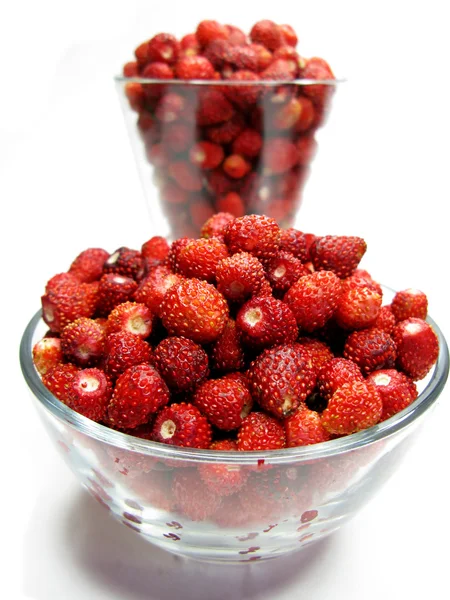 Walderdbeeren Früchte Dessert — Stockfoto