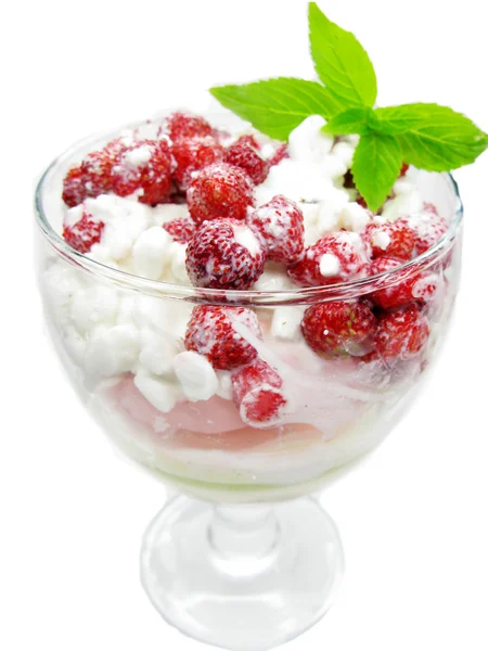 Cherry dessert met pudding en gelei — Stockfoto