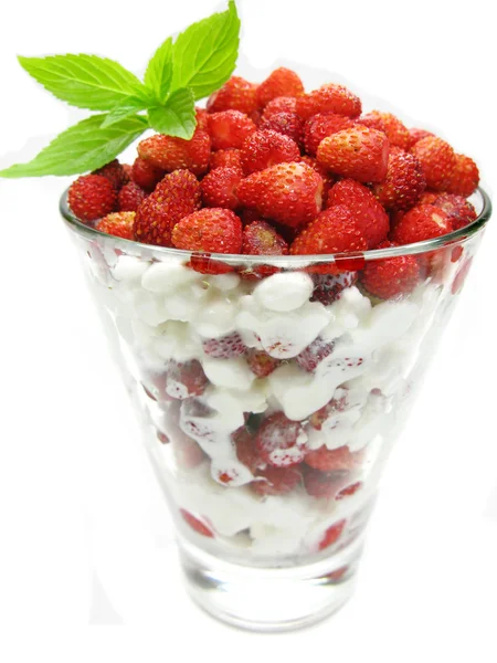야생 딸기 딸기와 우유 푸딩 디저트 — 스톡 사진