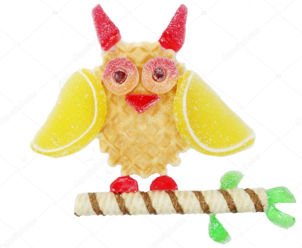 Creative marmalade fruit jelly sweet food owl bird form — Stock Photo