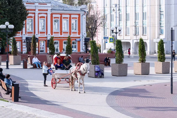 블라디미르 Vladimir Russia 2020 도시의 거리에서 마차타기 미술계의 최고의 모스크바 — 스톡 사진