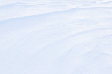 Kar, doğal kış arkaplanı olarak yüzeyi kapladı