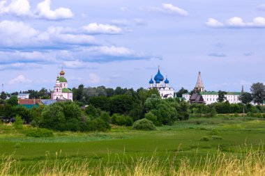 Rus güzel kırsal yaz manzarası 