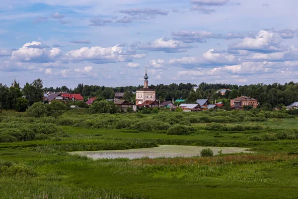 Деревенский Летний Пейзаж Церковью Болотом — стоковое фото