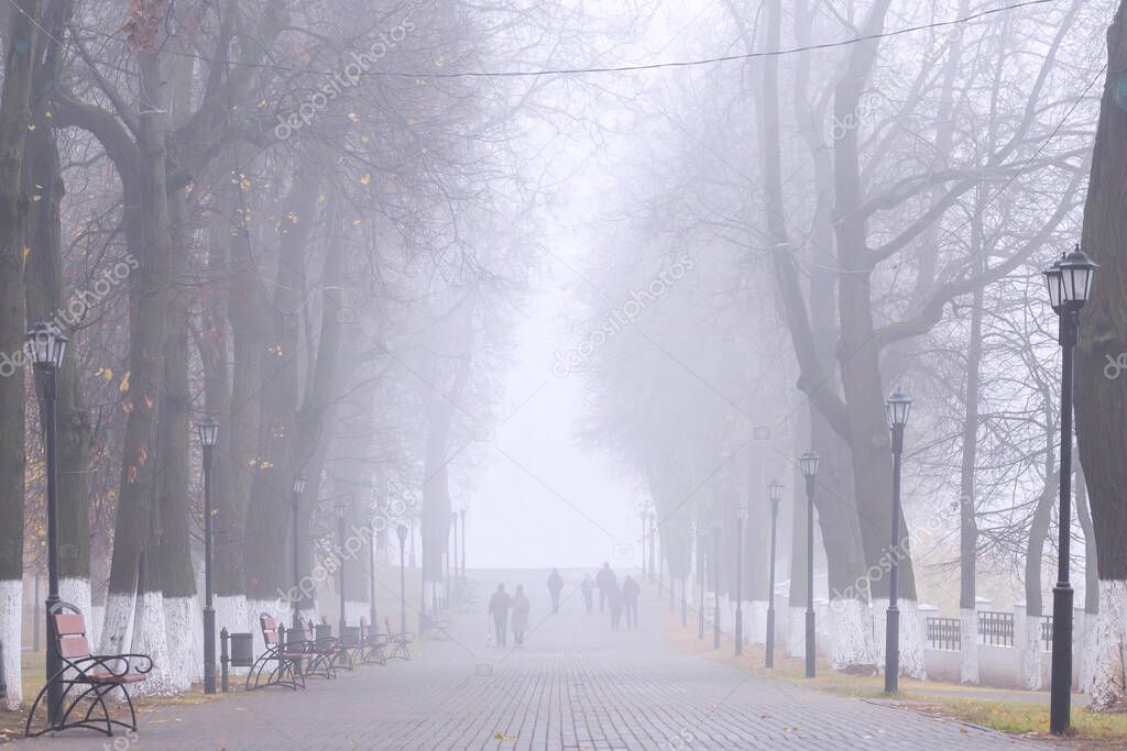 Fog in the city park. Silhouettes of people go down the alley.