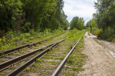 Ormanda demiryolu ve toprak yol