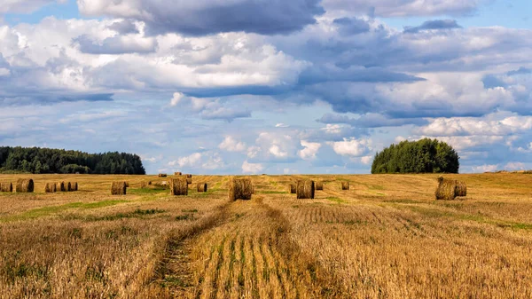 Сільський Осінній Пейзаж Небом Полем — стокове фото