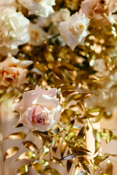 Roses background. Flowers background. Place for your text. Closeup roses — Stock Photo, Image