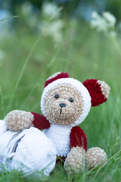 Handmade knitted toy. Knitted bear with white hook for knitting on green grass background.