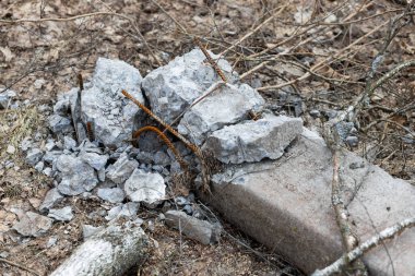 Paslı çubuklu beton kırık sütunun yakın plan fotoğrafı. Yüksek kalite fotoğraf