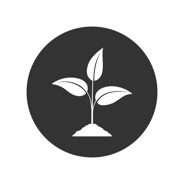Icono Gráfico Brotar Planta Joven Creciendo Signo Tierra Círculo Aislado — Archivo Imágenes Vectoriales