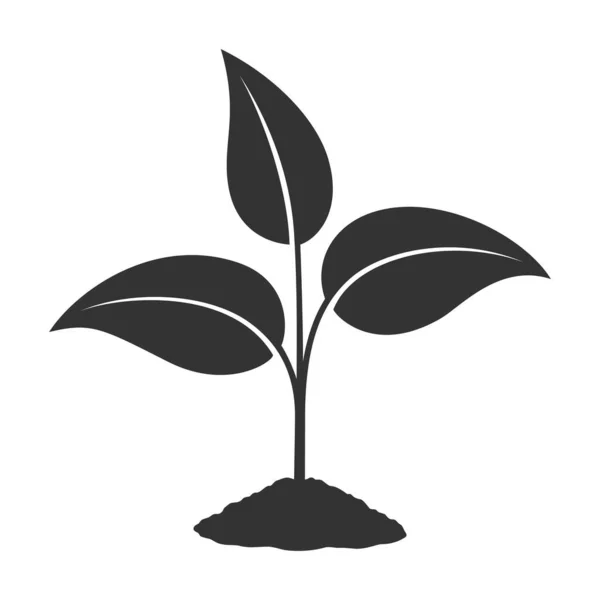 グラフィックアイコンをスプルートします 白い背景に隔離された地面の標識で成長している若い植物 種まきのシンボル ベクターイラスト — ストックベクタ