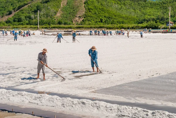 Les hommes travaillent sur le champ de sel — Photo