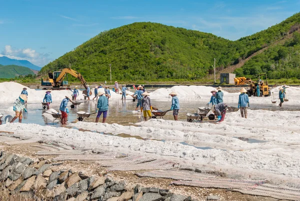Kadınlar ve erkekler tuz sahada çalışıyoruz — Stok fotoğraf