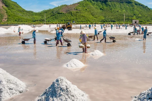 Mujeres y hombres están trabajando en el campo de sal — Foto de Stock