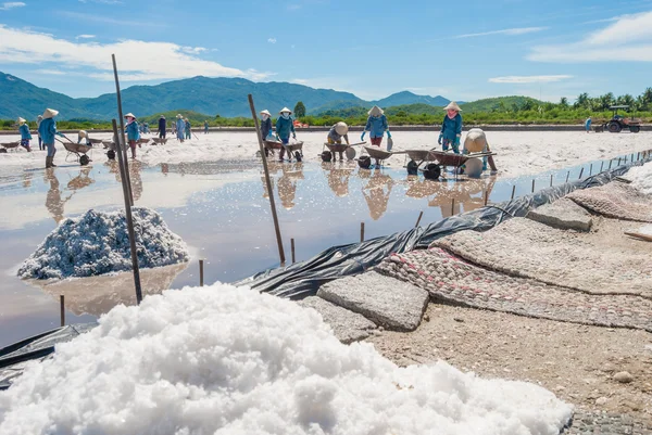Женщины работают на соляном поле — стоковое фото