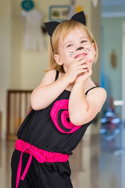 Gato negro vestido de fantasía — Foto de Stock