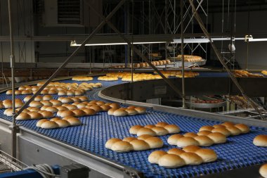 ekmek üretim hattı