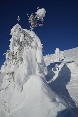 Harika kış manzarası. Güneşli bir günde muhteşem dağlık araziler. Kış dağı ormanı. Karlı dağlar ve güzel mavi gökyüzü. İnanılmaz bir doğa geçmişi var. Kış kartpostalı. Kayak eğimi.                             