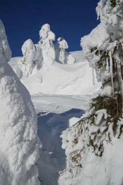             Harika kış manzarası. Güneşli bir günde muhteşem dağlık araziler. Kış dağı ormanı. Karlı dağlar ve güzel mavi gökyüzü. İnanılmaz bir doğa geçmişi var. Kış kartpostalı. Kayak eğimi.                   