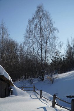               Harika kış manzarası. Kış ormanı Sıcak güneş ışığında buzlu ağaçlar. resim gibi doğal manzaralar. yaratıcı sanatsal görüntü.   