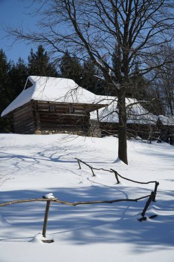 Ahşap evlerle harika kış manzarası. Kış köyü. Sıcak güneş ışığında buzlu ağaçlar. Resimli doğal manzaralar