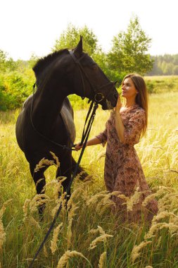    Güneşli bir sonbahar ormanında beyaz bir atla yürüyen güzel bir kız.                               