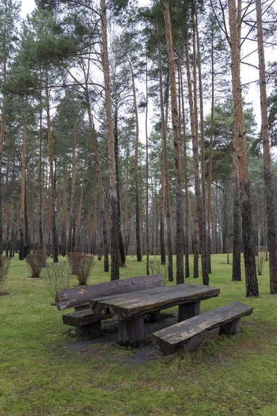 Endroit Pour Séjour Confortable Dans Parc — Photo