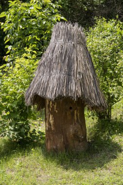 Eski bir arı kovanı, boş, katı ahşaptan yapılmış ve yağmur yüzünden kıllarla kaplanmış, bir ormanın kenarında duruyor..