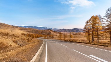 Sonbahar bahar yolu güneşli bir günde
