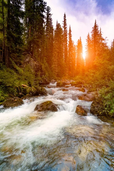 Yazın ormanda bir dağ nehrinde gün doğumunda güneş ağaçların arasından doğar.