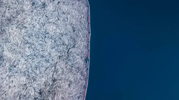 The fallen trees Fin in the water are separated from the blue river top view — Stock Photo, Image