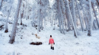 Karlı bir kış ormanında köpekli beyaz ve parlak elbiseli bir kız. Narnia Muhteşem Ormanı