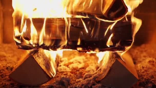 Madera ardiendo en una acogedora chimenea en casa — Vídeo de stock