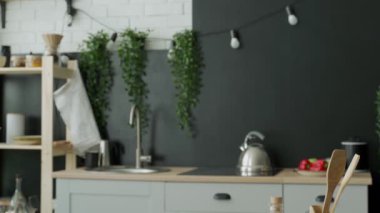 Önlüklü bir kadının portresi, elinde tabaklar, mutfakta duruyor..