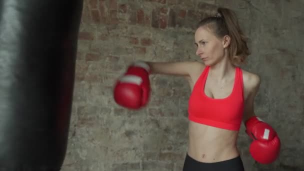 Boxeador joven mujer golpea pera en un gimnasio moderno. Joven atleta con guantes de boxeo rojos golpea una pera — Vídeos de Stock