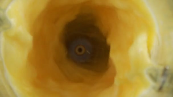 Mouvement lent faisant trembler les fruits frais orange dans le mélangeur, vue de dessus — Video