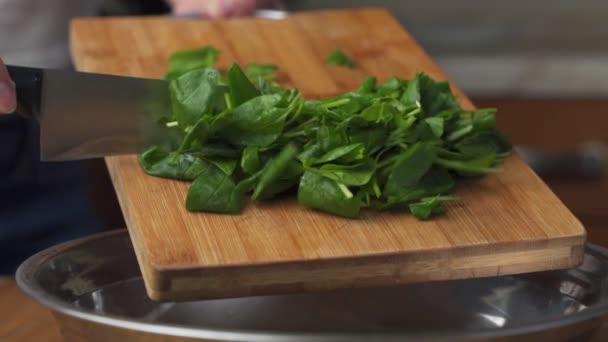 Hands pour sliced spinach from a chopping board into a metal bowl, making a vegetable salad — ストック動画