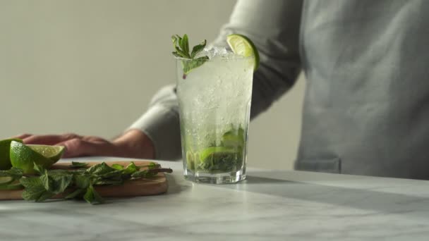 Bartendern förbereder en mojito cocktail i baren. En man dekorerar en Mojito cocktail med mynta och lime — Stockvideo