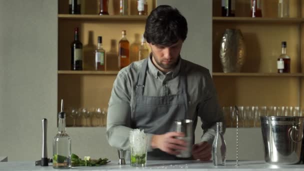 Barman przygotowuje koktajl mojito w barze. Mężczyzna ozdabia koktajl Mojito miętą i limonką — Wideo stockowe