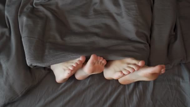Любляча радісна пара грає і танцює ноги під ковдрою, прокидаючись в ліжку вранці — стокове відео