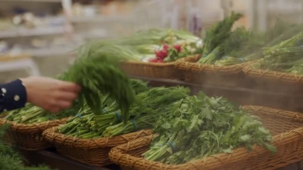 Primer plano de una mujer manos en un supermercado la elección de verduras verdes, un concepto agrícola, y una dieta vegetariana — Vídeos de Stock