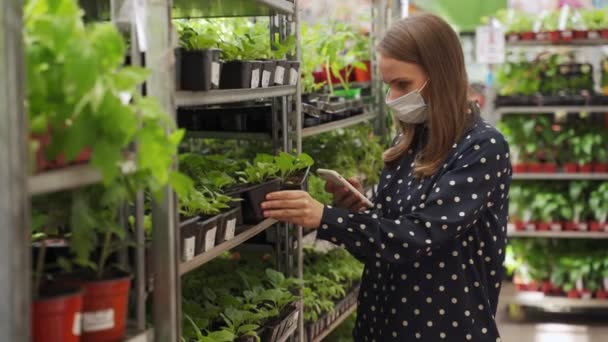 Tıbbi maskeli kadın fideleri bir bitkinin fidanlığından alıyor. Müşteri organik bir çiftliğin serası için sebze bitkileri seçer ve satın alır. — Stok video