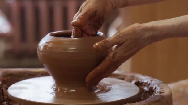 Oudere handen van een pottenbakker, die een aarden pot op de cirkel maakt. Oude vrouw maakt handgemaakte keramiek van klei — Stockvideo